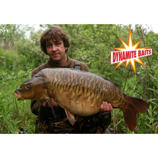 DYNAMITE BAITS Dynamite Swim Stim Sweet Fishmeal Groundbait 2kg - Imagen 2