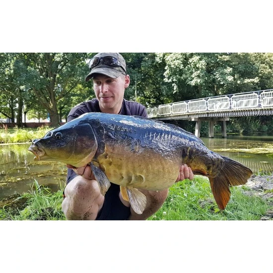 Fortis Eyewear Fundas Para Gafas De Sol 24 7 - Imagen 6